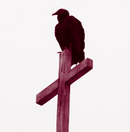 ave sobre la cruz